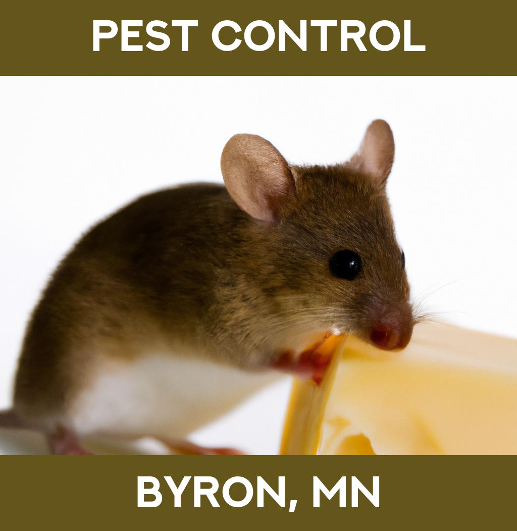 pest control in Byron Minnesota