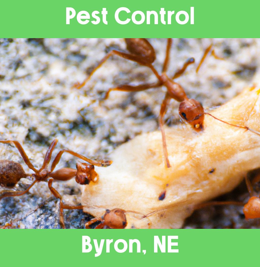 pest control in Byron Nebraska