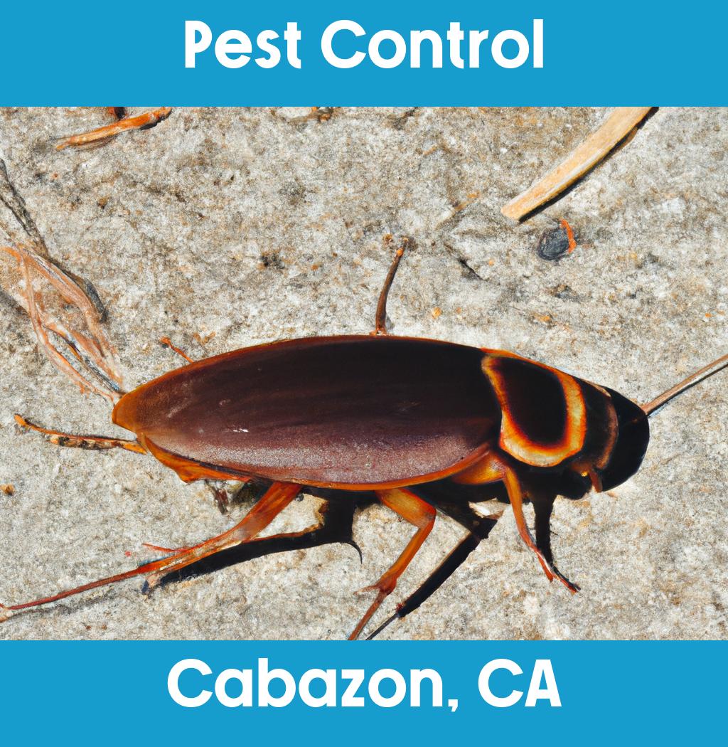 pest control in Cabazon California