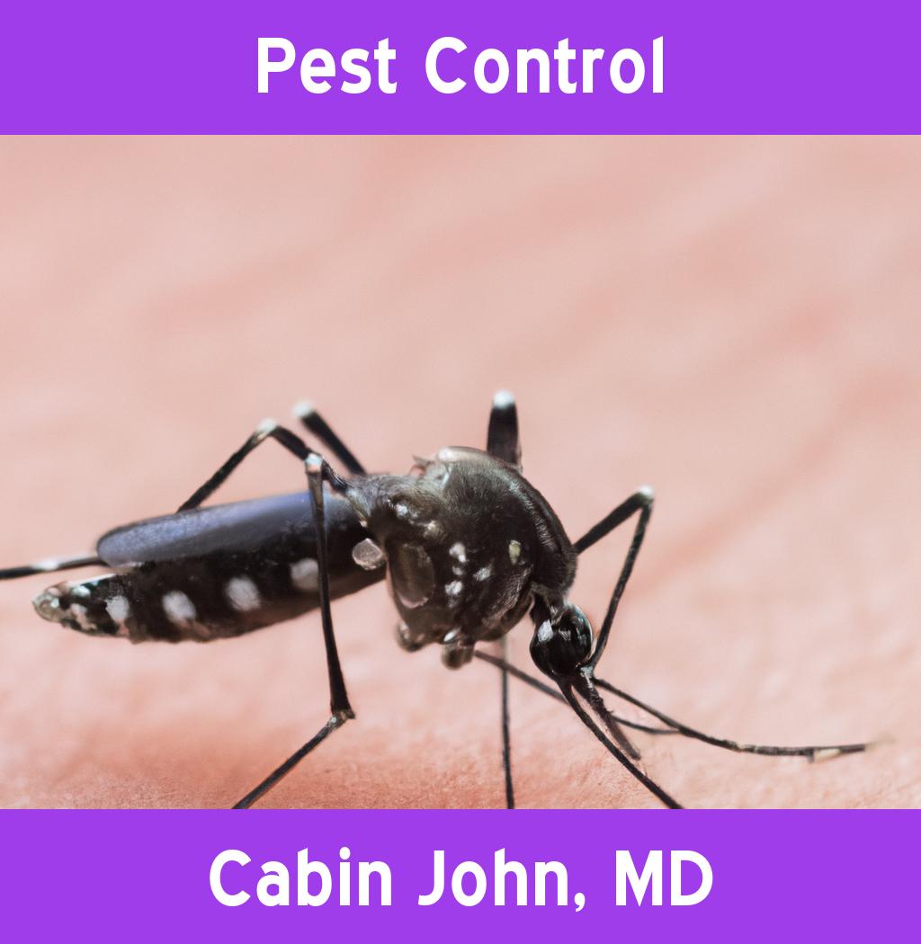 pest control in Cabin John Maryland