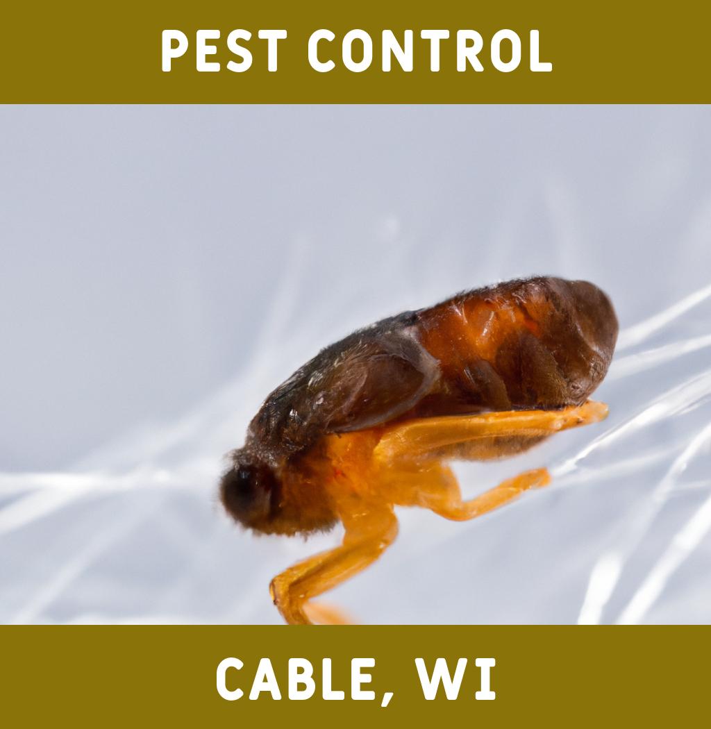 pest control in Cable Wisconsin