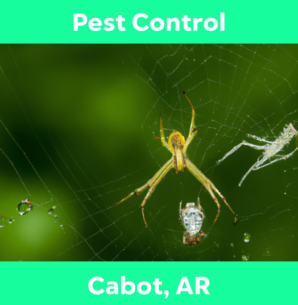 pest control in Cabot Arkansas