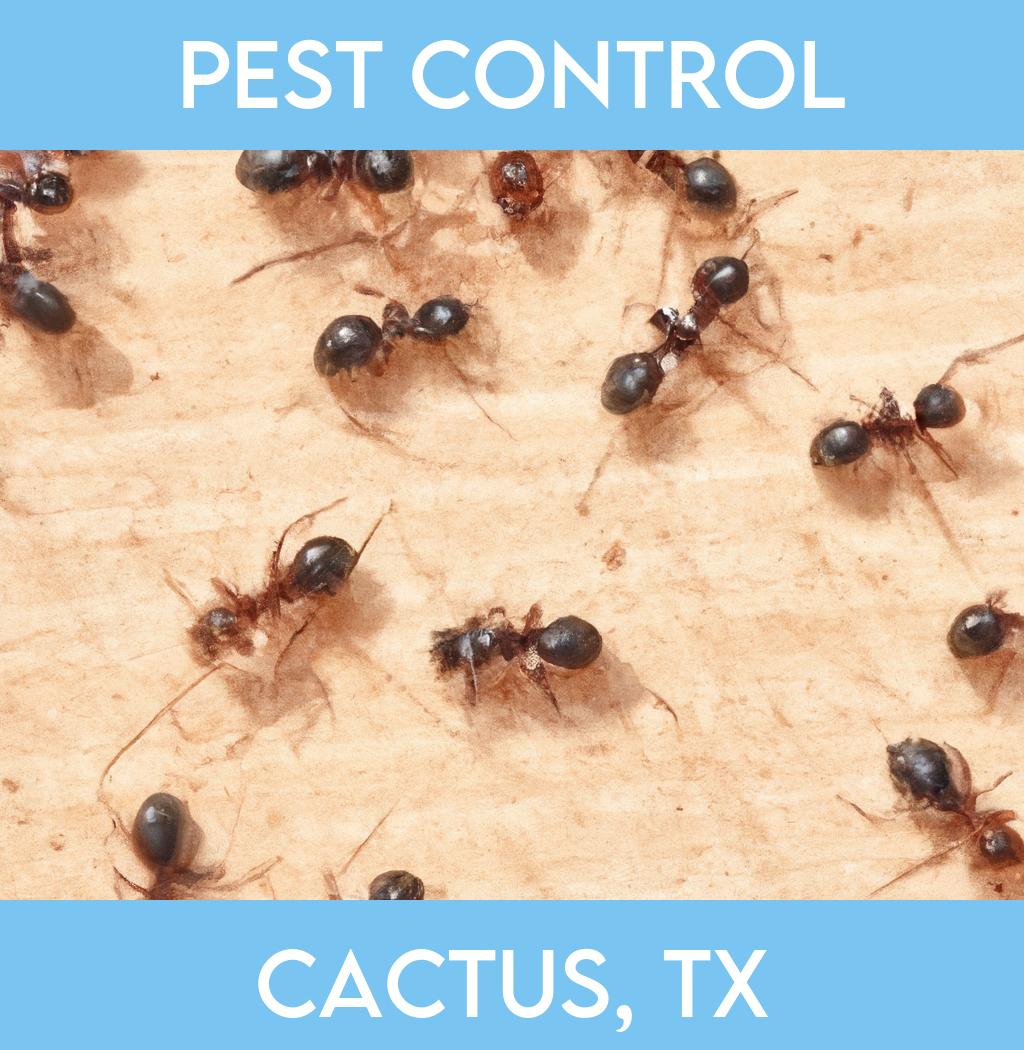pest control in Cactus Texas