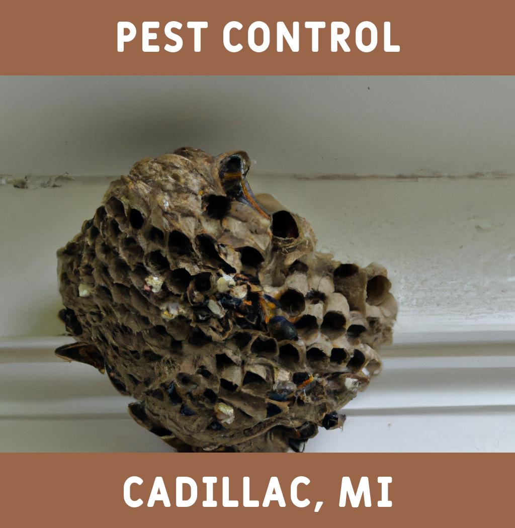 pest control in Cadillac Michigan