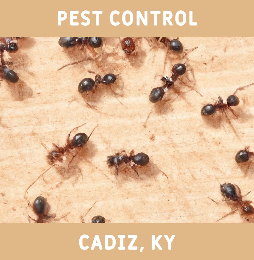 pest control in Cadiz Kentucky
