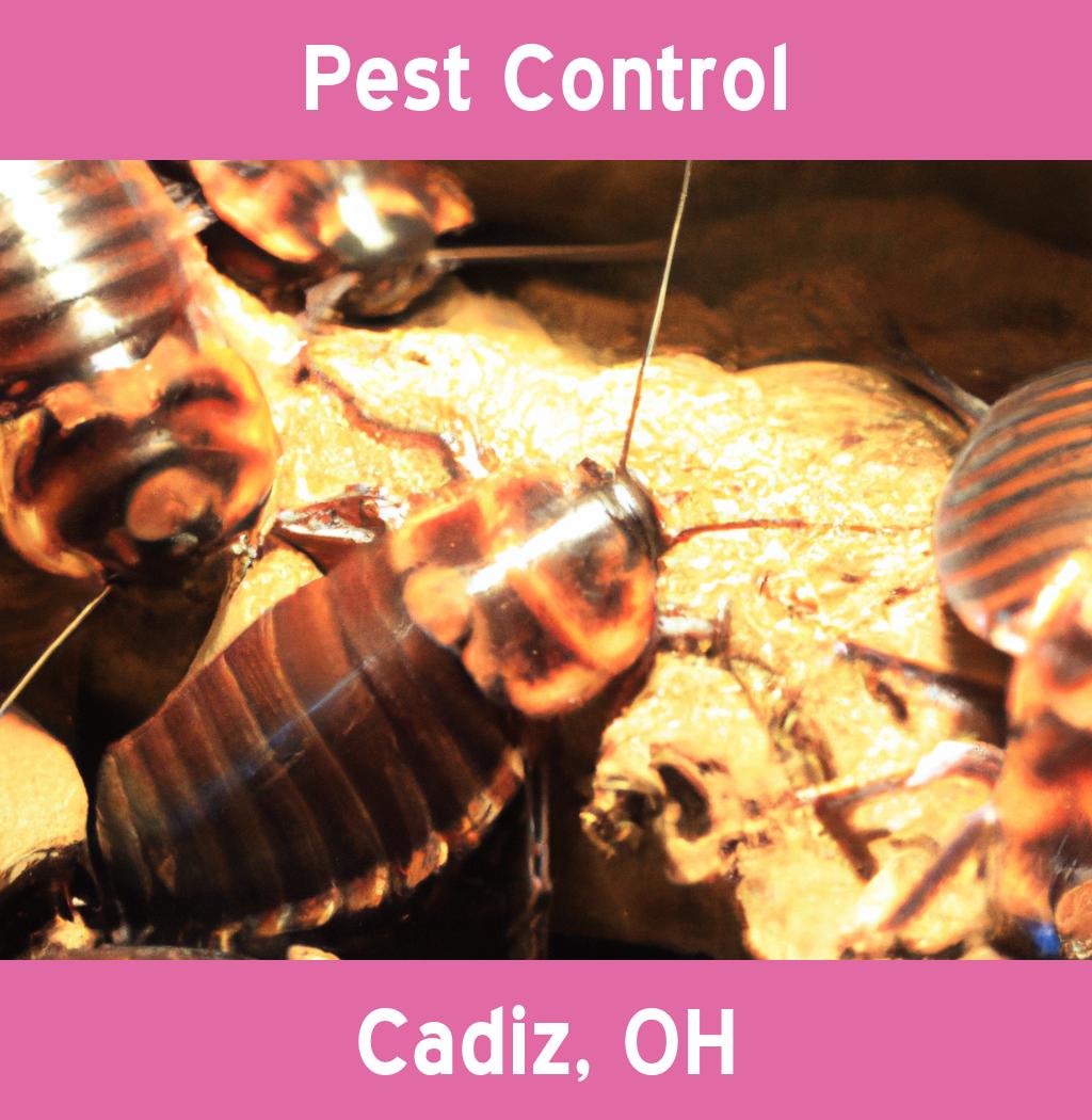 pest control in Cadiz Ohio