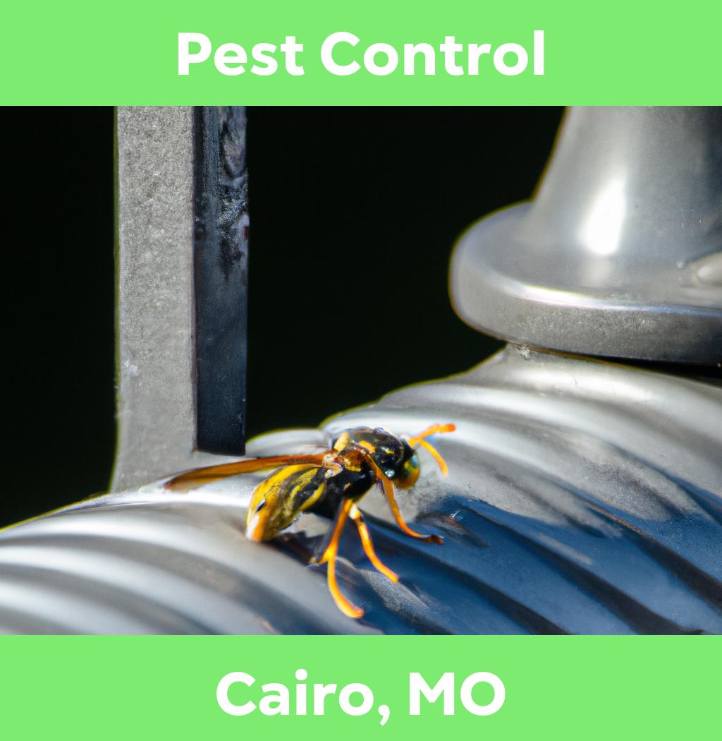 pest control in Cairo Missouri