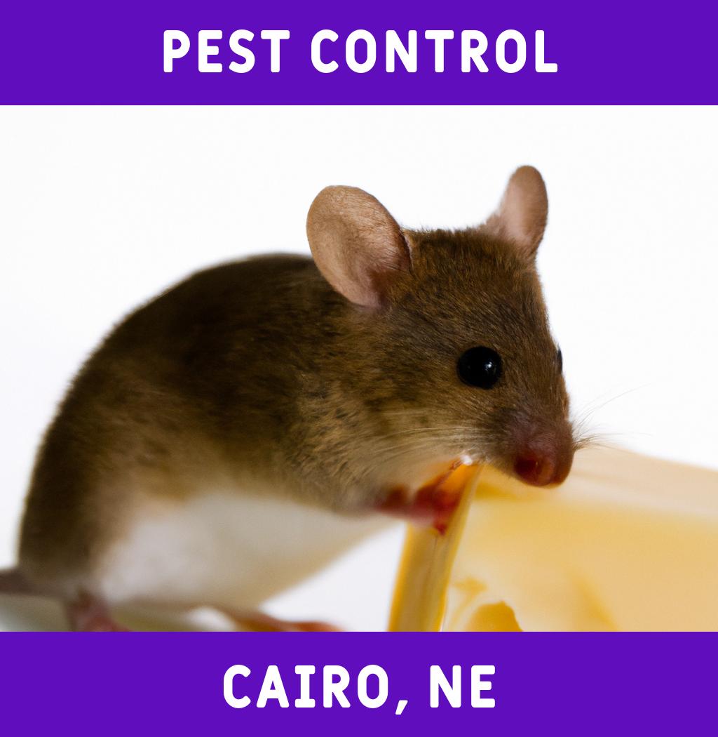 pest control in Cairo Nebraska