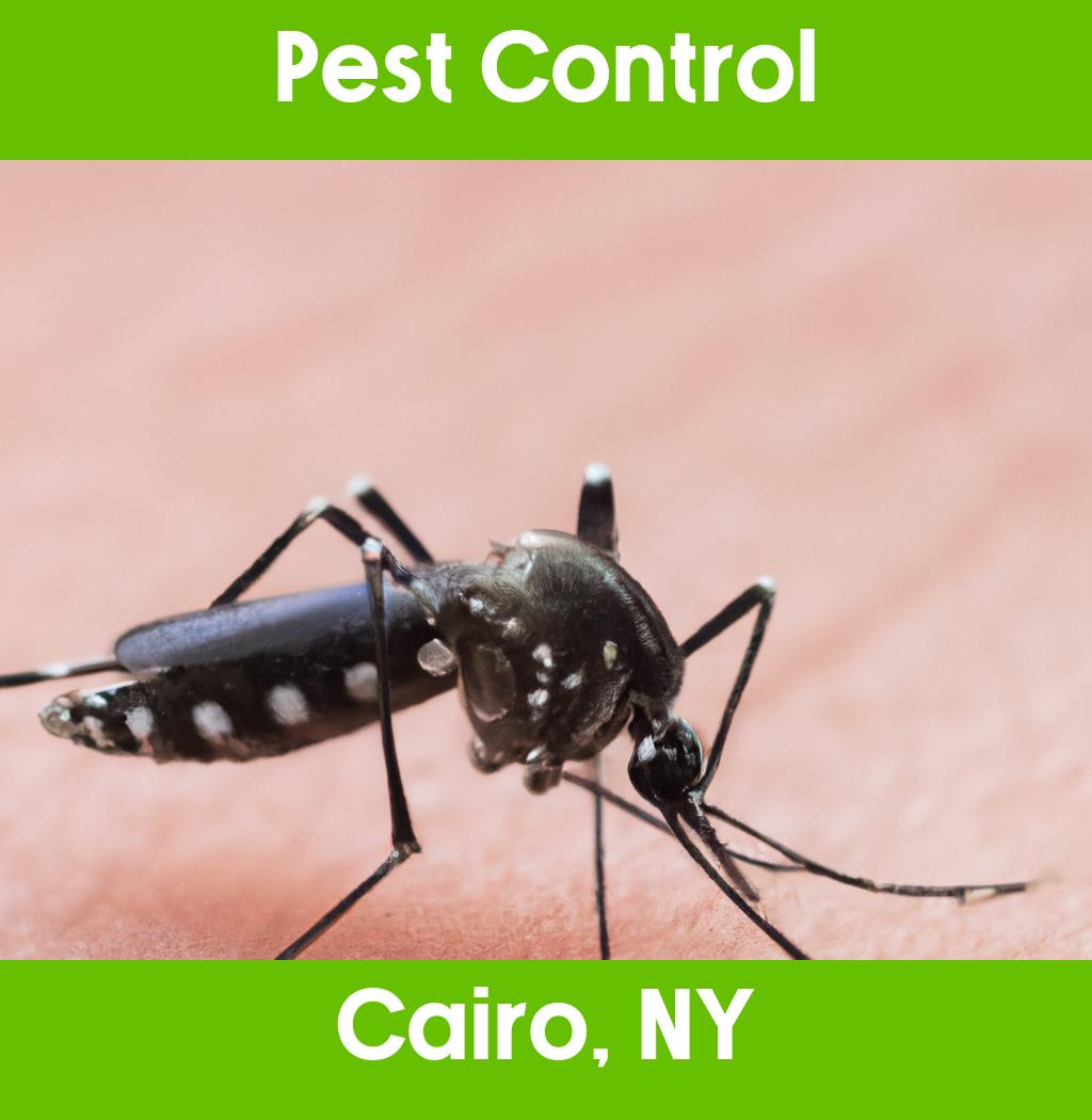 pest control in Cairo New York