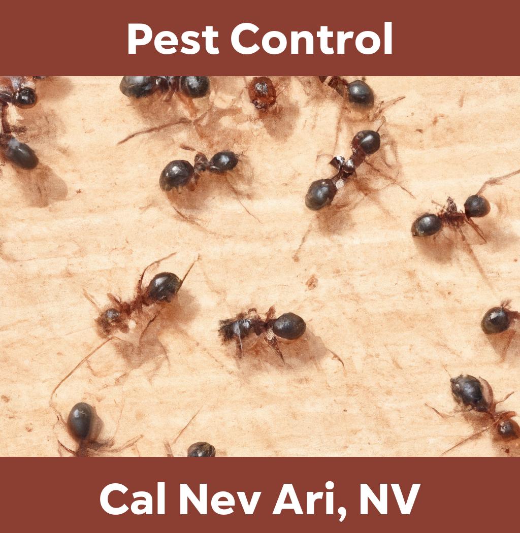 pest control in Cal Nev Ari Nevada
