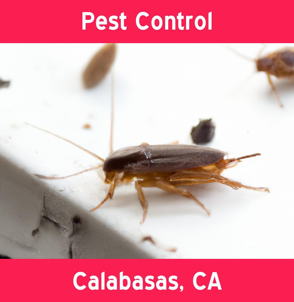 pest control in Calabasas California