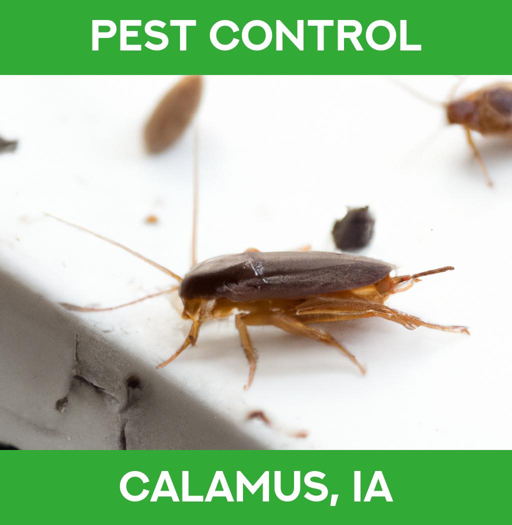 pest control in Calamus Iowa