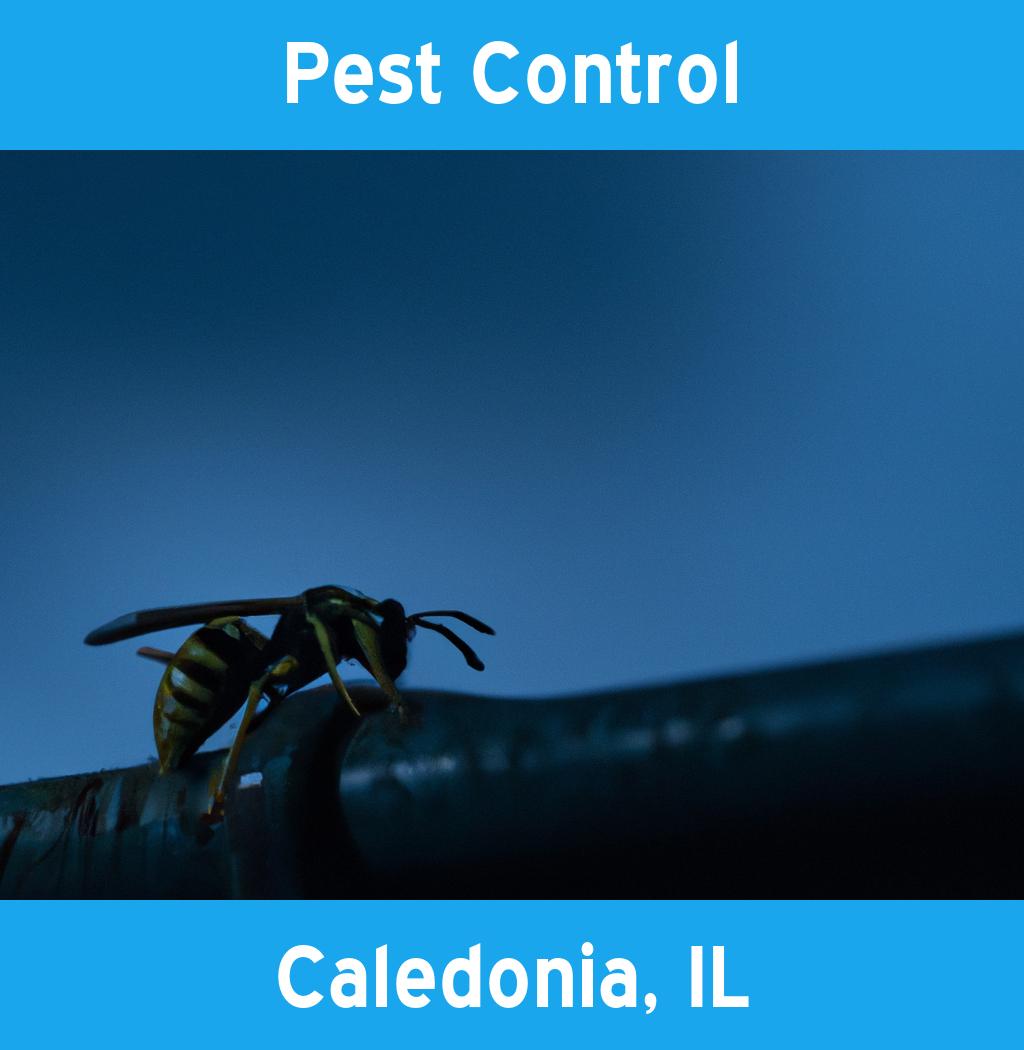 pest control in Caledonia Illinois