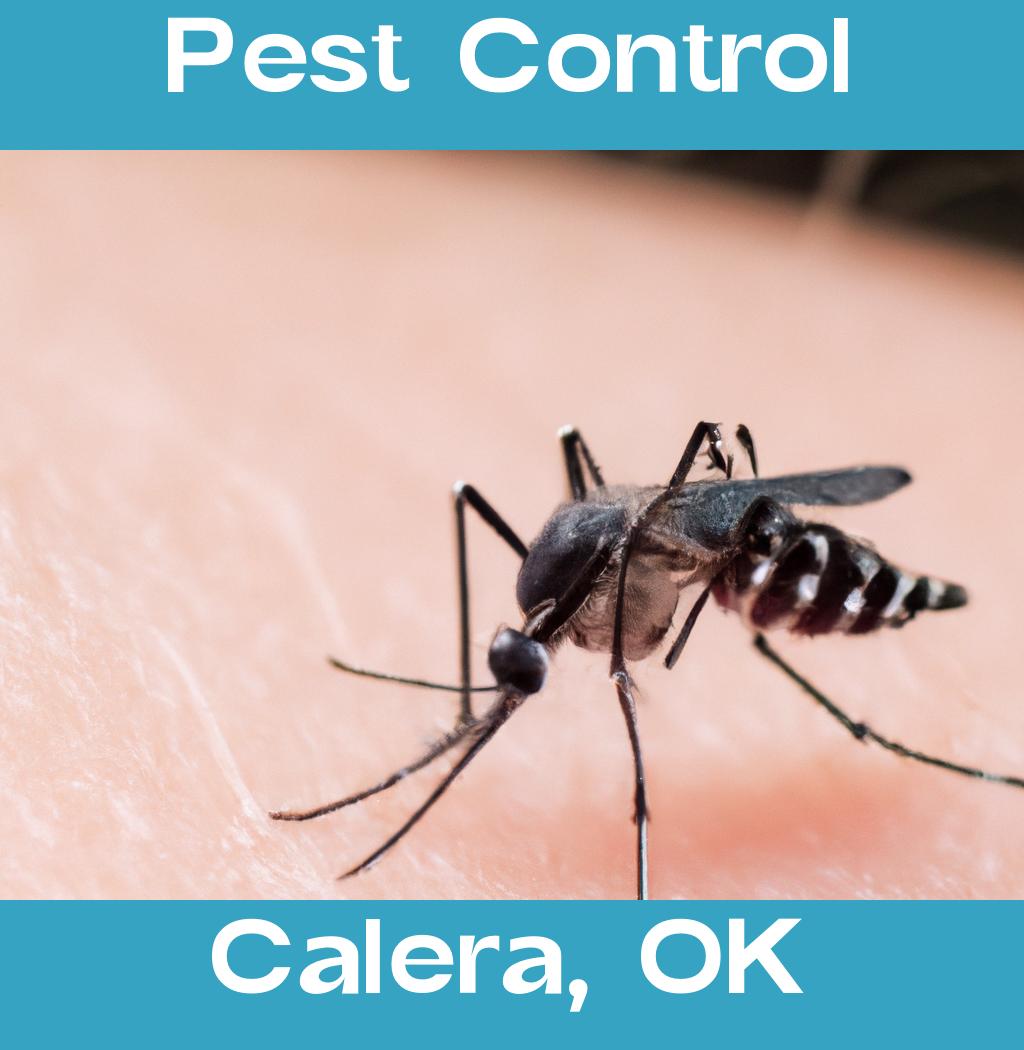 pest control in Calera Oklahoma
