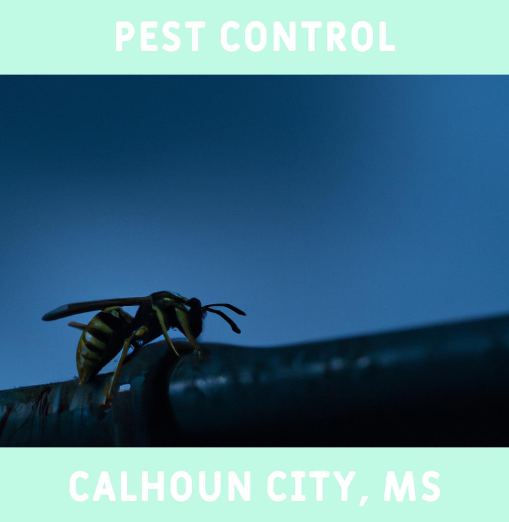 pest control in Calhoun City Mississippi