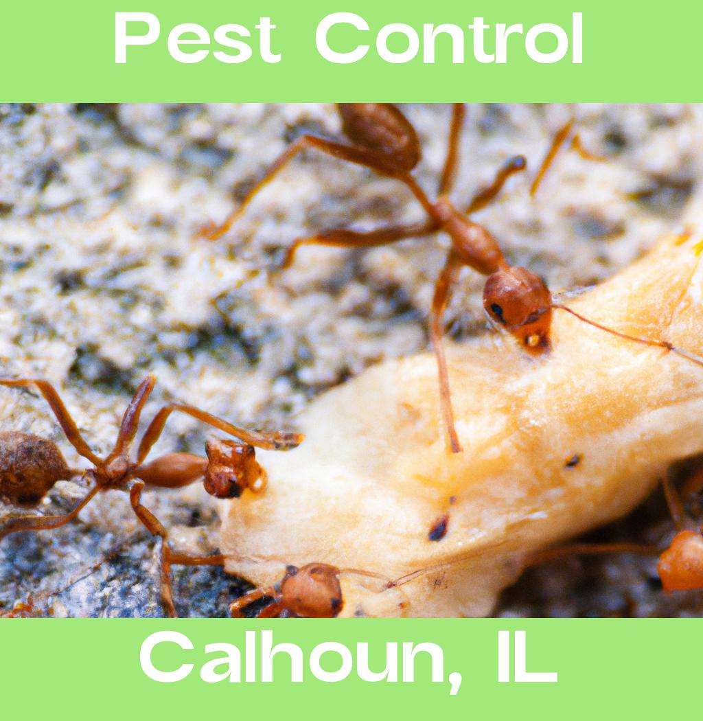 pest control in Calhoun Illinois