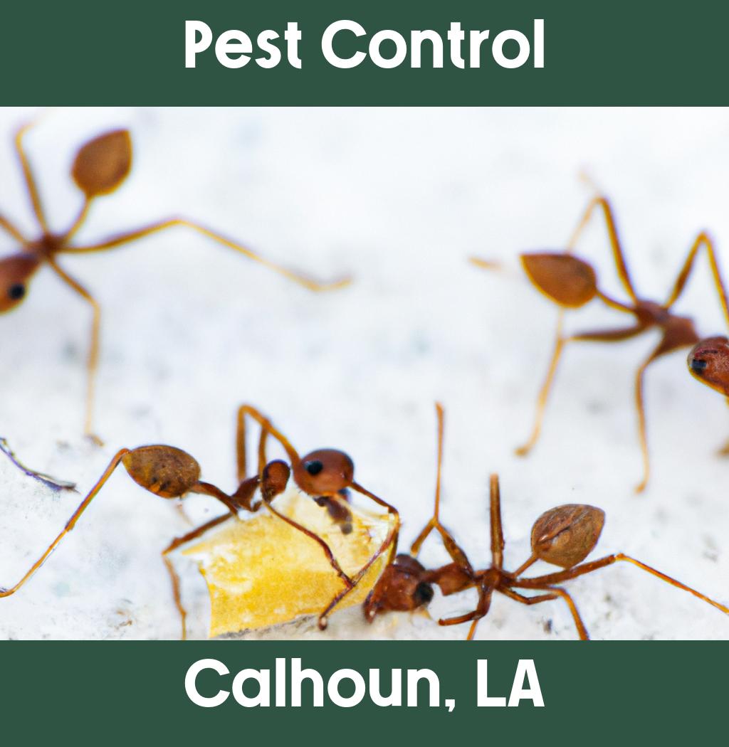pest control in Calhoun Louisiana