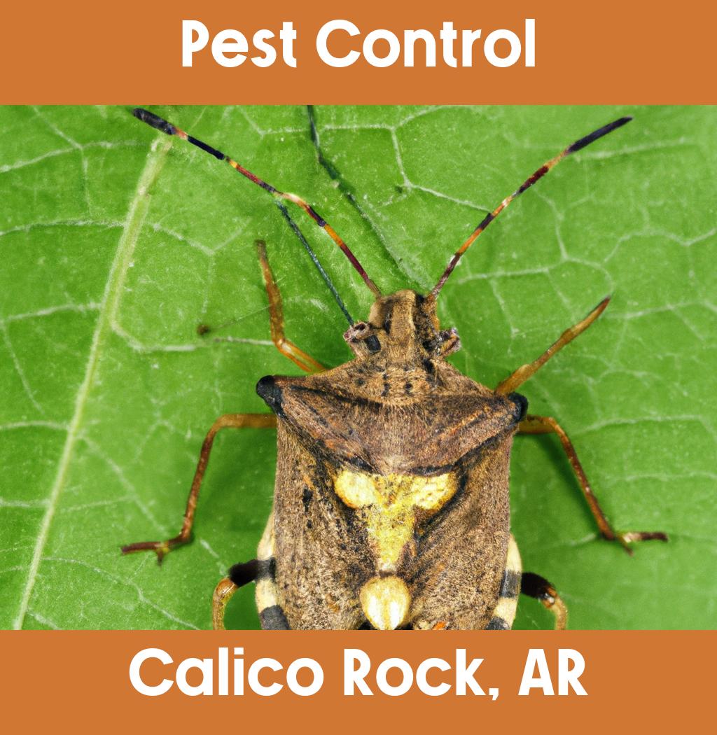 pest control in Calico Rock Arkansas