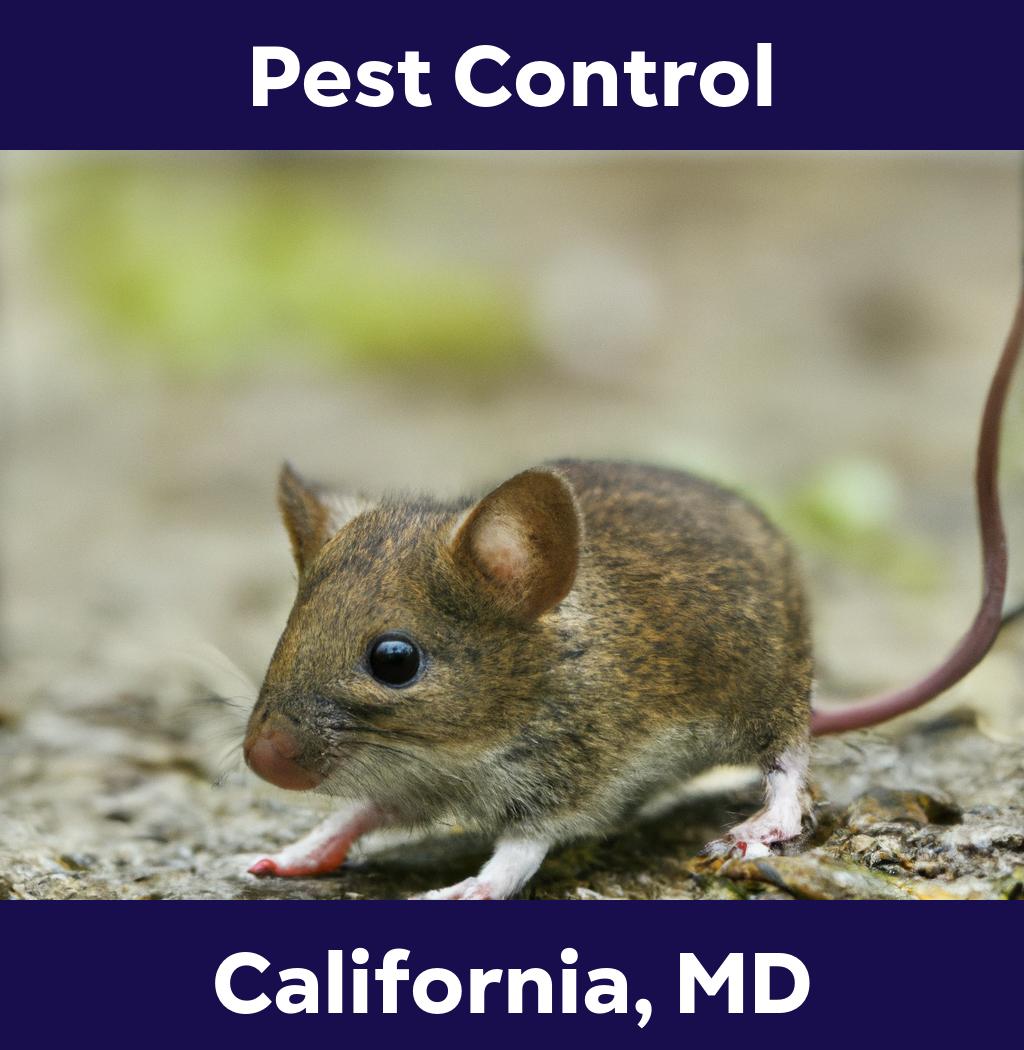 pest control in California Maryland