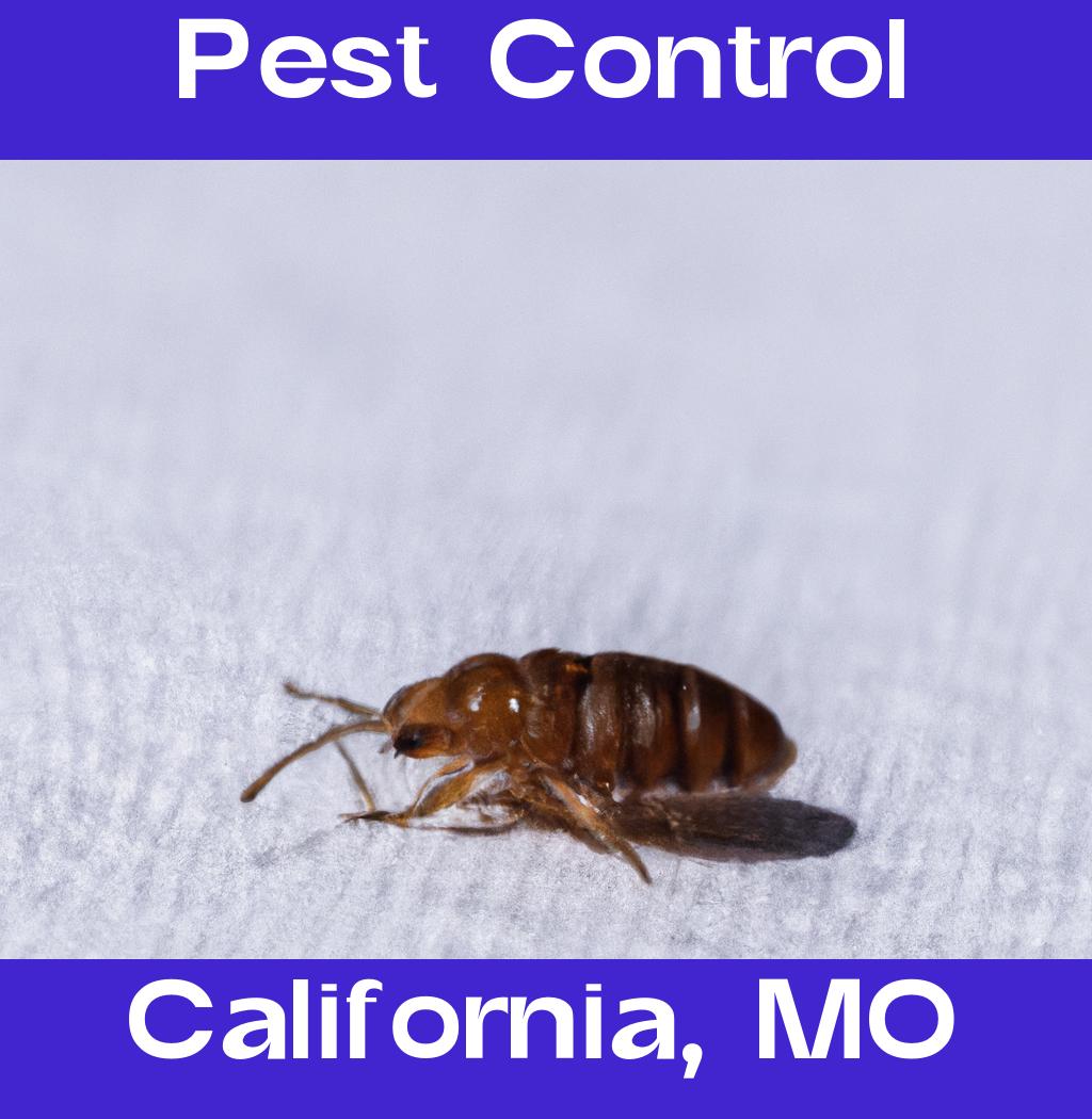 pest control in California Missouri