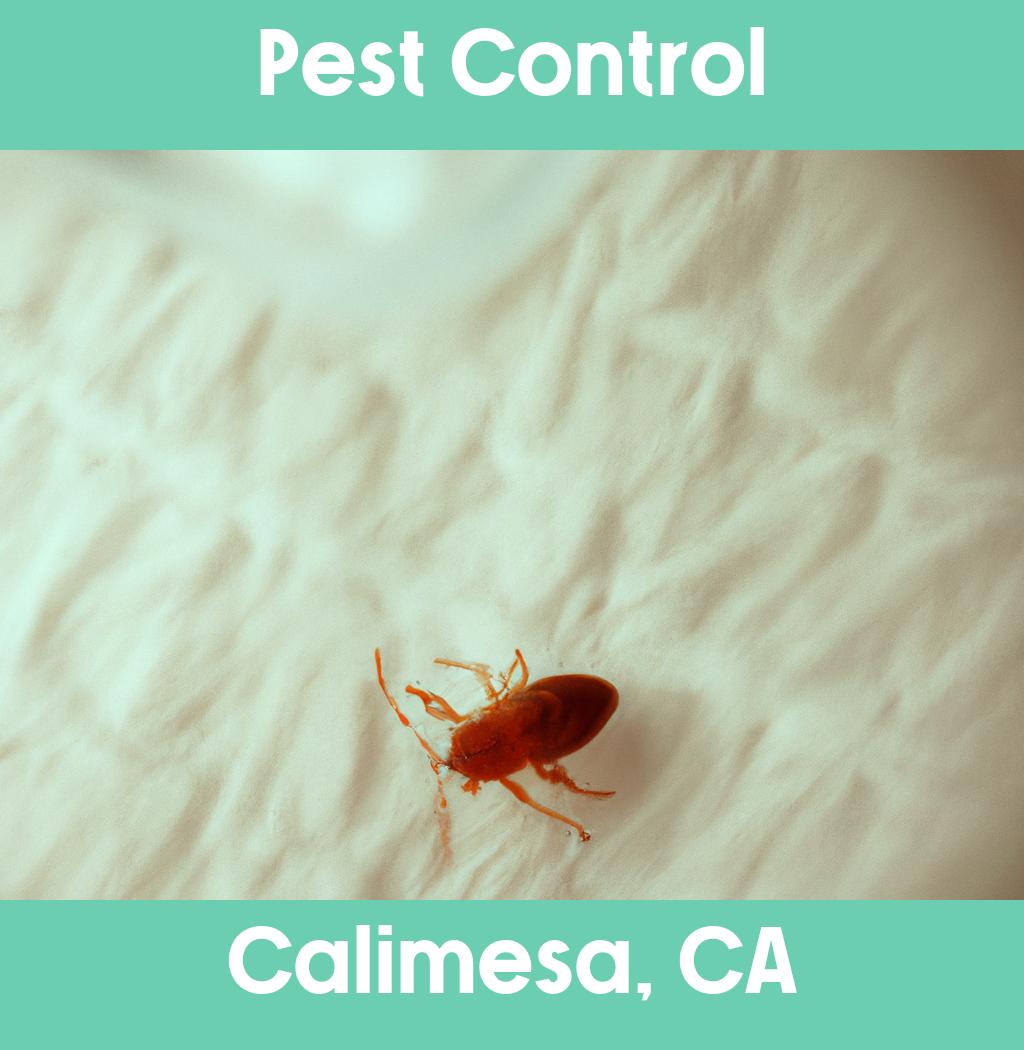 pest control in Calimesa California