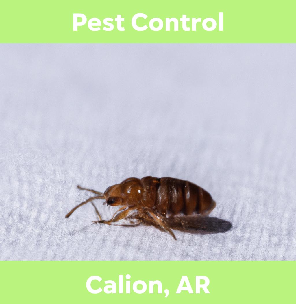 pest control in Calion Arkansas