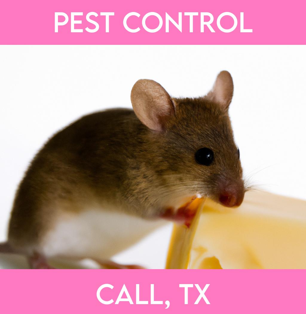 pest control in Call Texas