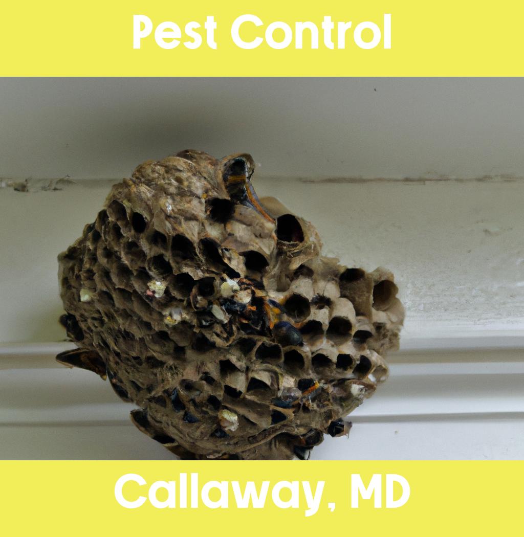 pest control in Callaway Maryland