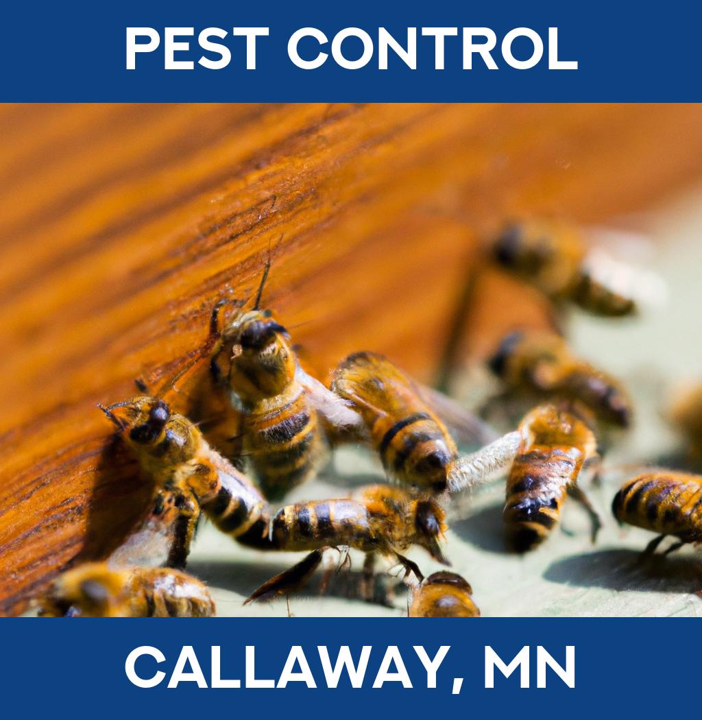 pest control in Callaway Minnesota