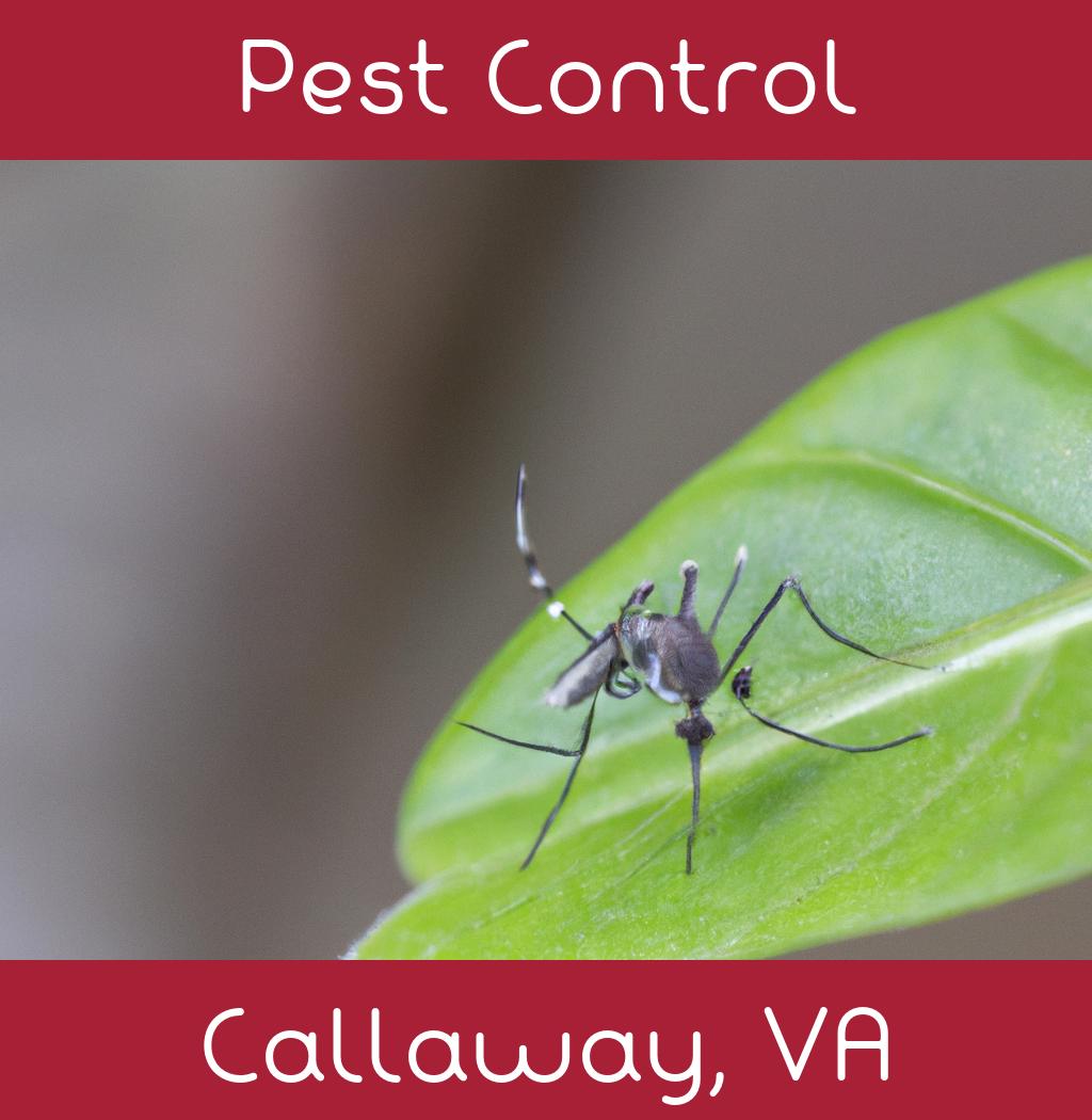 pest control in Callaway Virginia