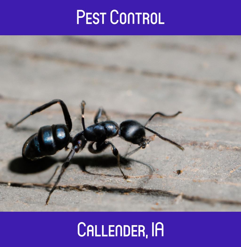 pest control in Callender Iowa