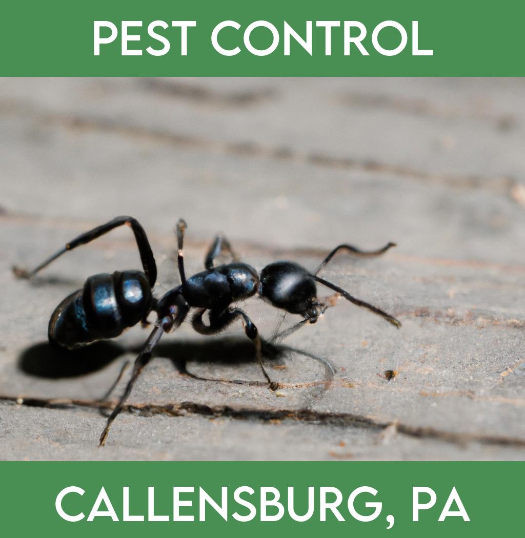 pest control in Callensburg Pennsylvania