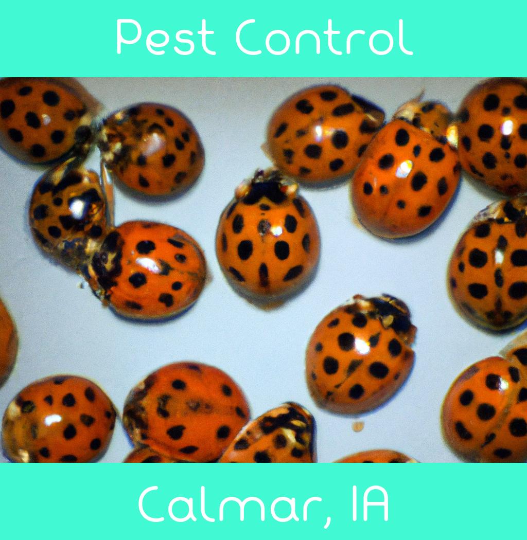 pest control in Calmar Iowa