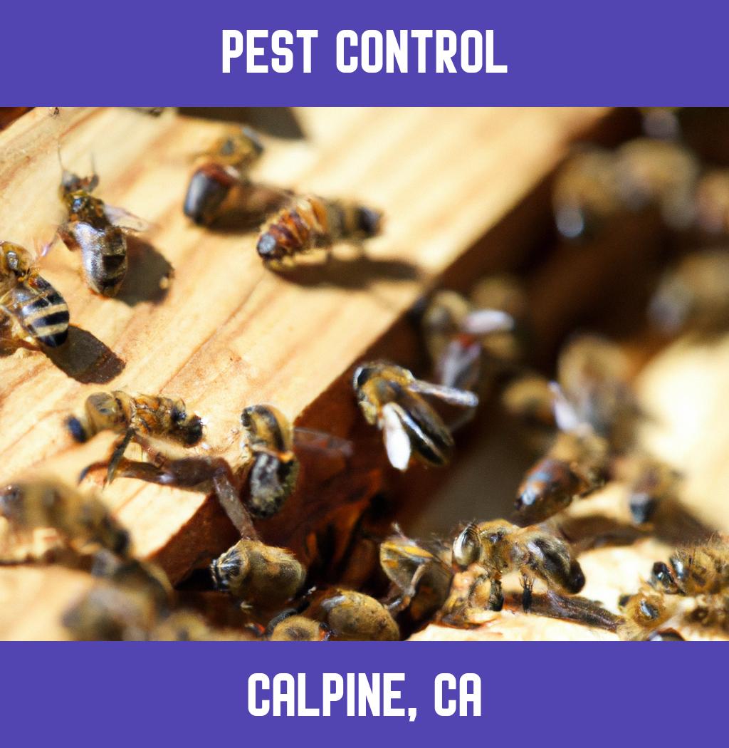 pest control in Calpine California