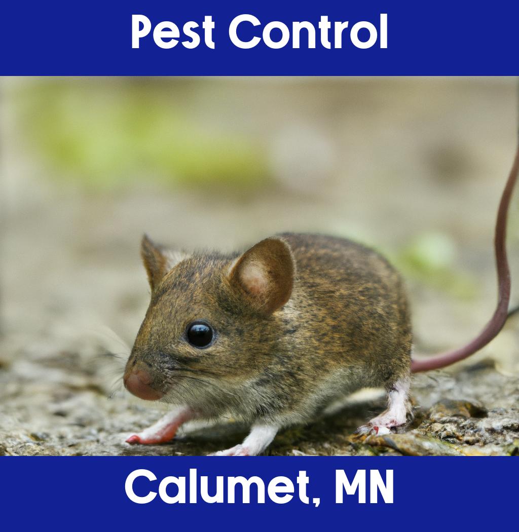 pest control in Calumet Minnesota