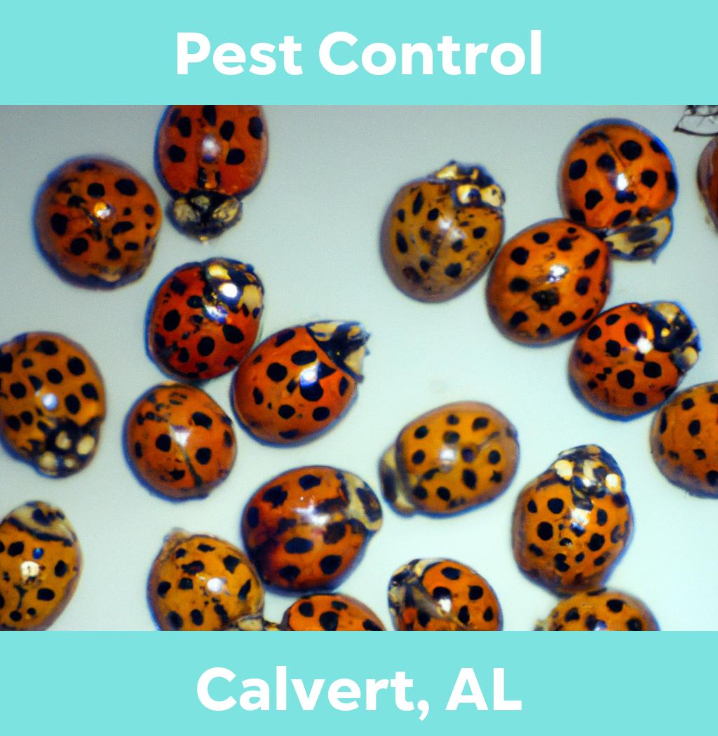 pest control in Calvert Alabama