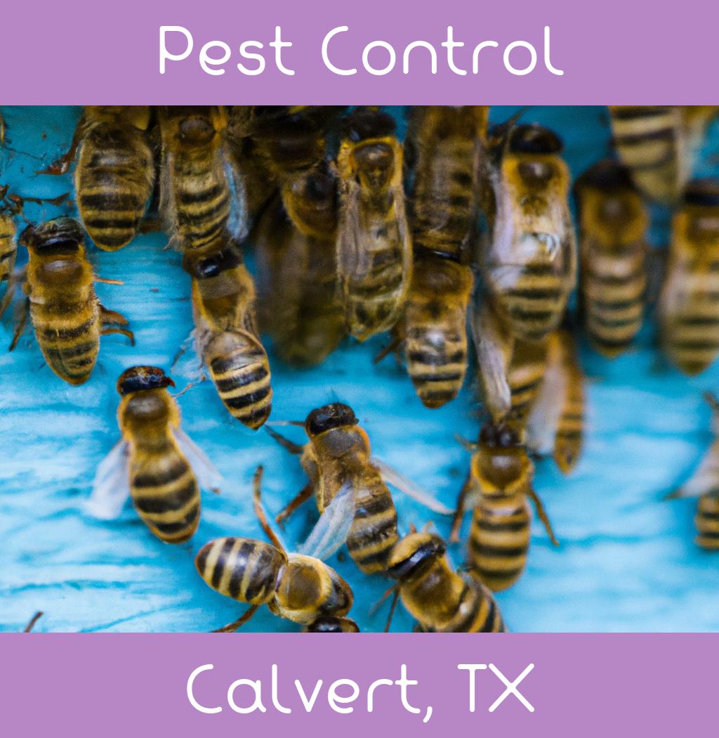 pest control in Calvert Texas