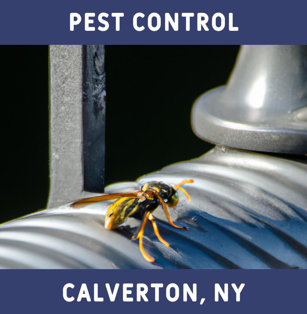 pest control in Calverton New York