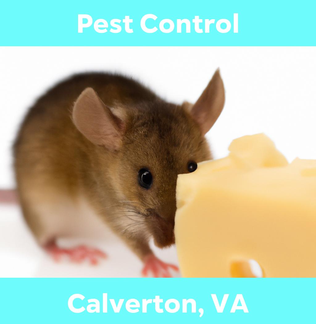 pest control in Calverton Virginia