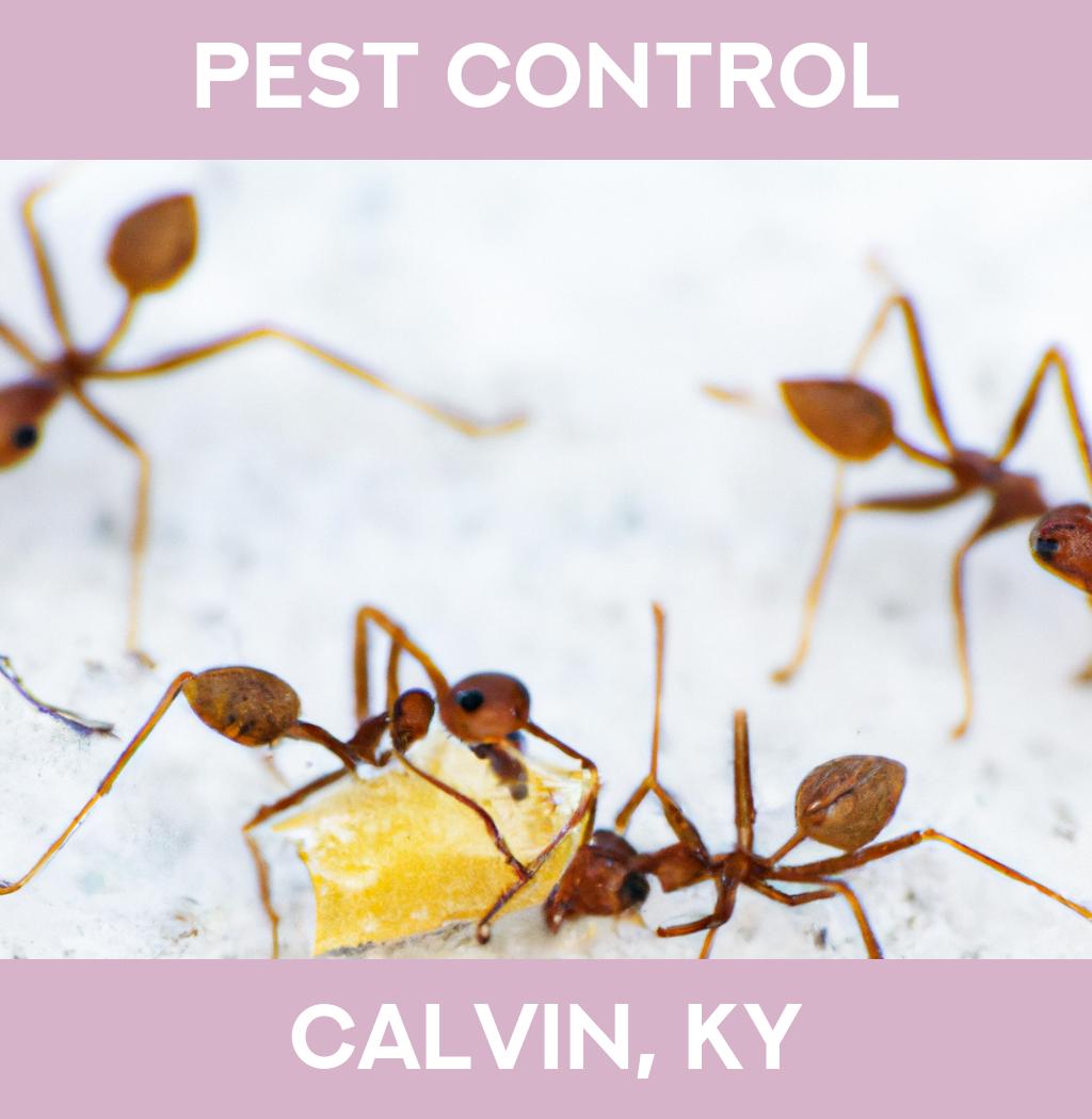 pest control in Calvin Kentucky