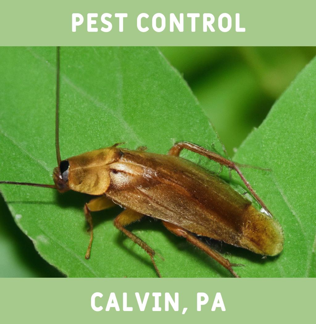 pest control in Calvin Pennsylvania