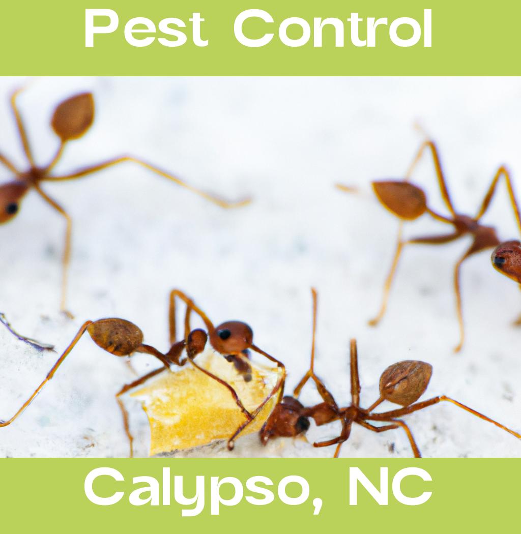 pest control in Calypso North Carolina