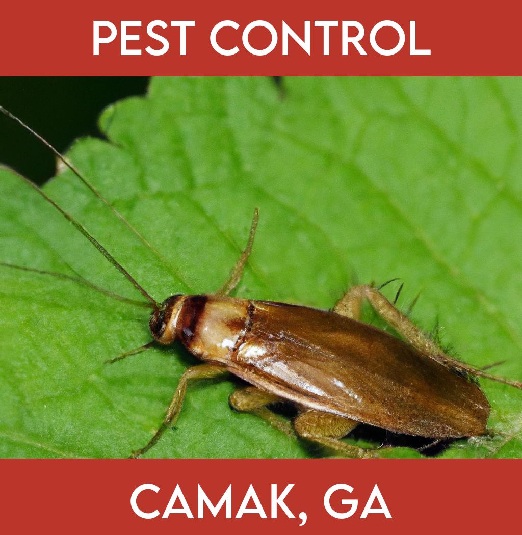 pest control in Camak Georgia