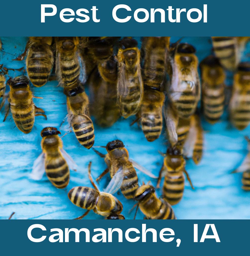 pest control in Camanche Iowa