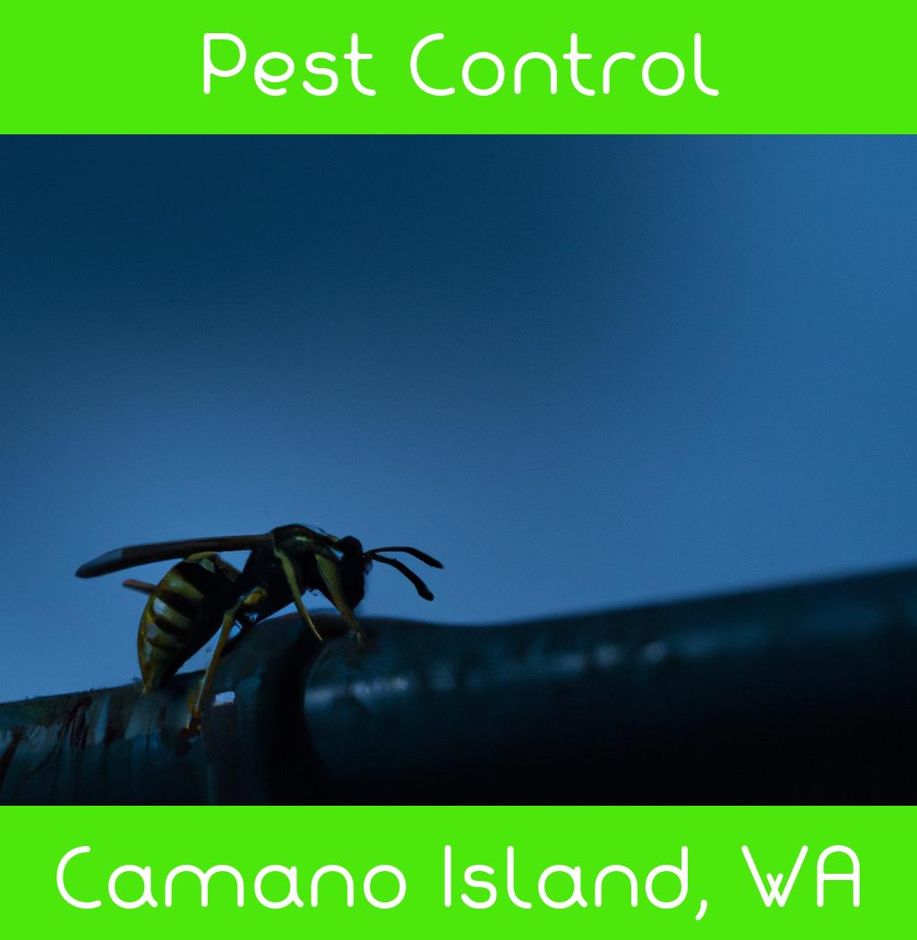 pest control in Camano Island Washington