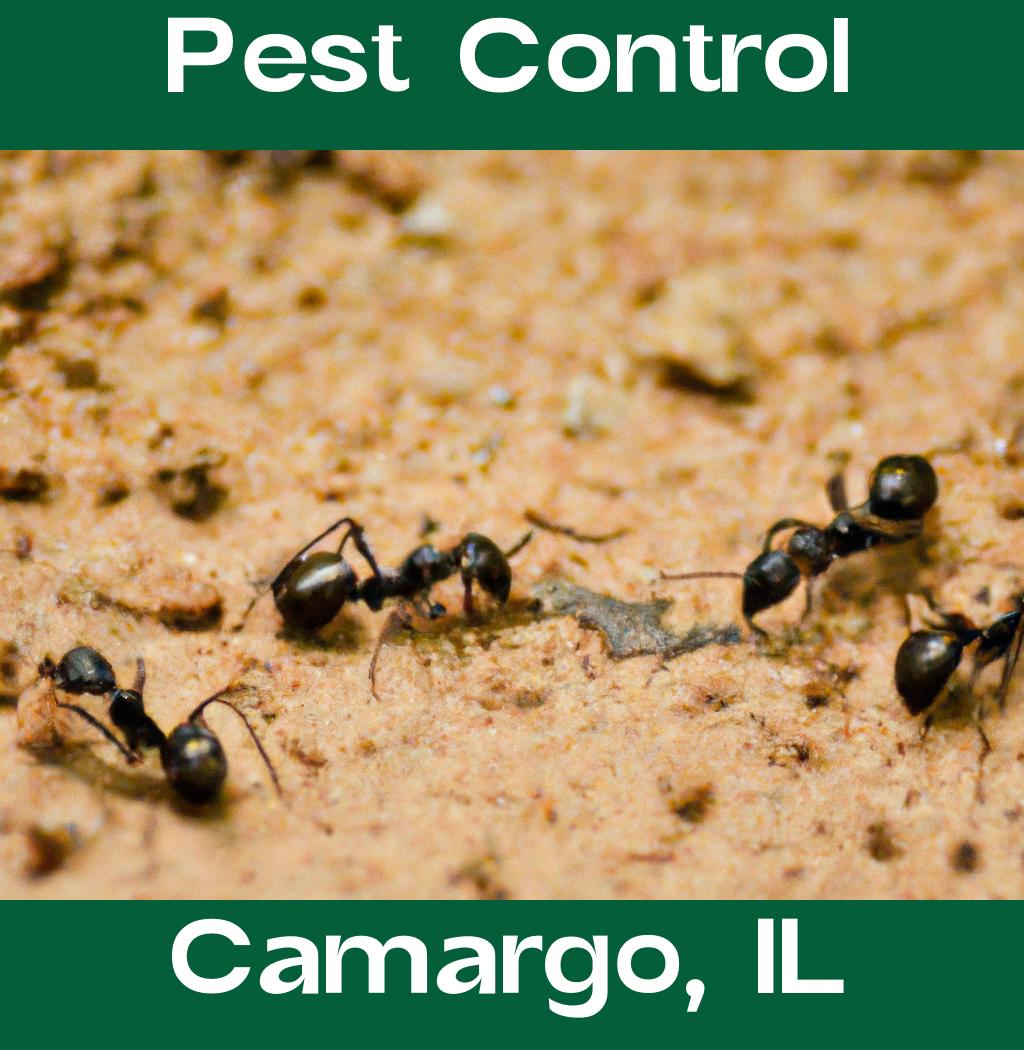 pest control in Camargo Illinois
