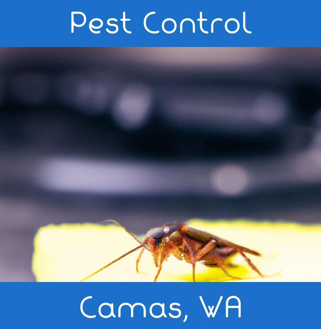 pest control in Camas Washington