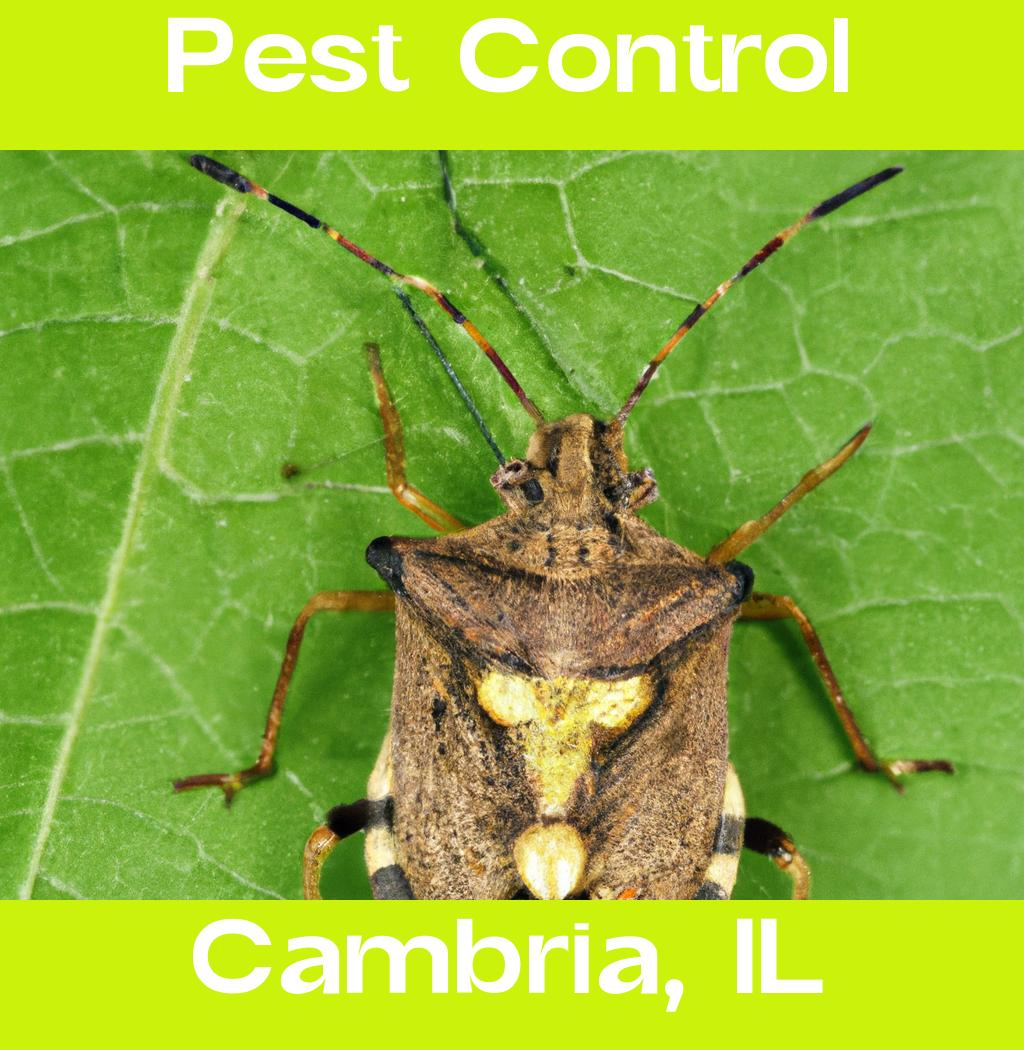 pest control in Cambria Illinois