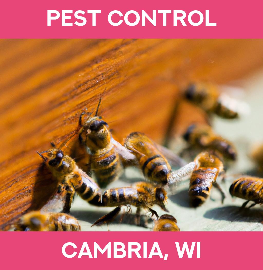 pest control in Cambria Wisconsin