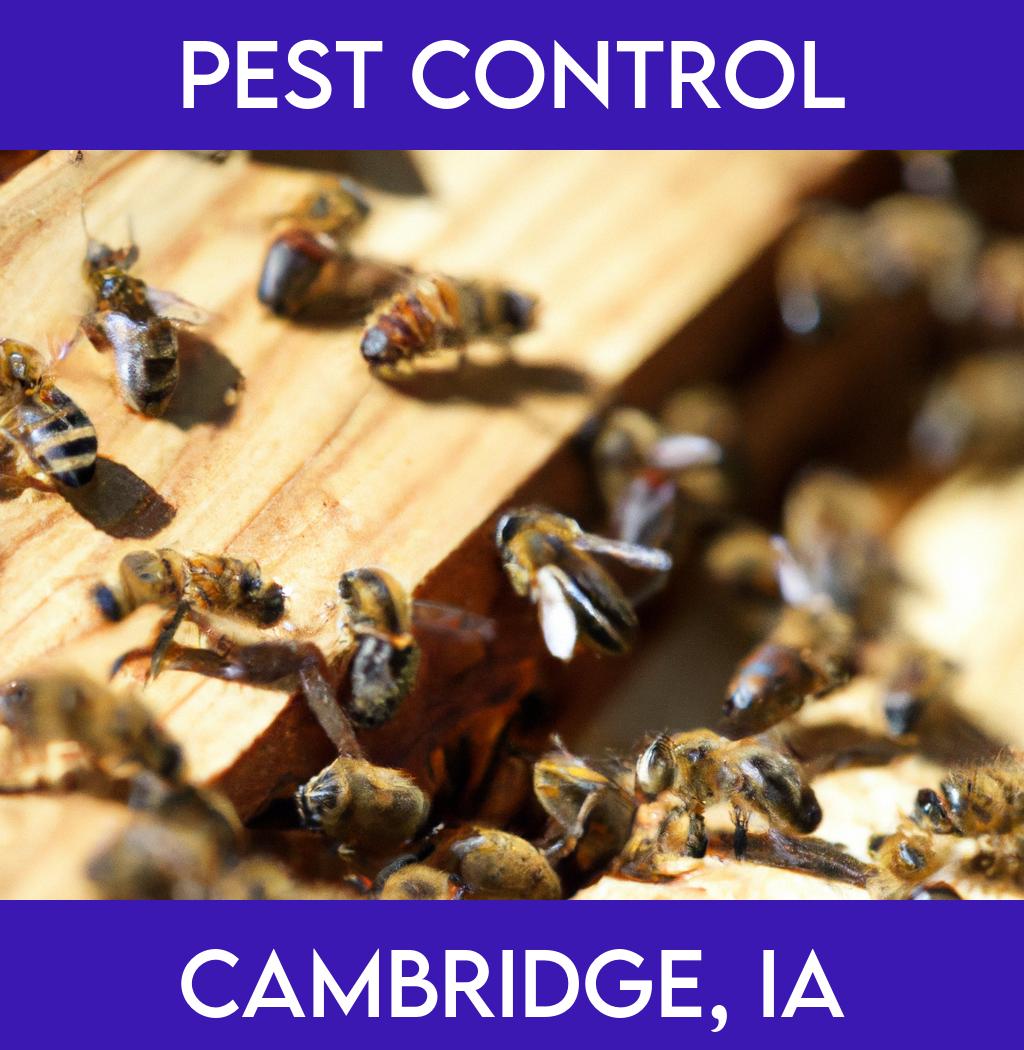 pest control in Cambridge Iowa